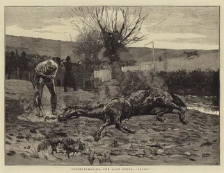 Steeplechasing, de laatste hindernis